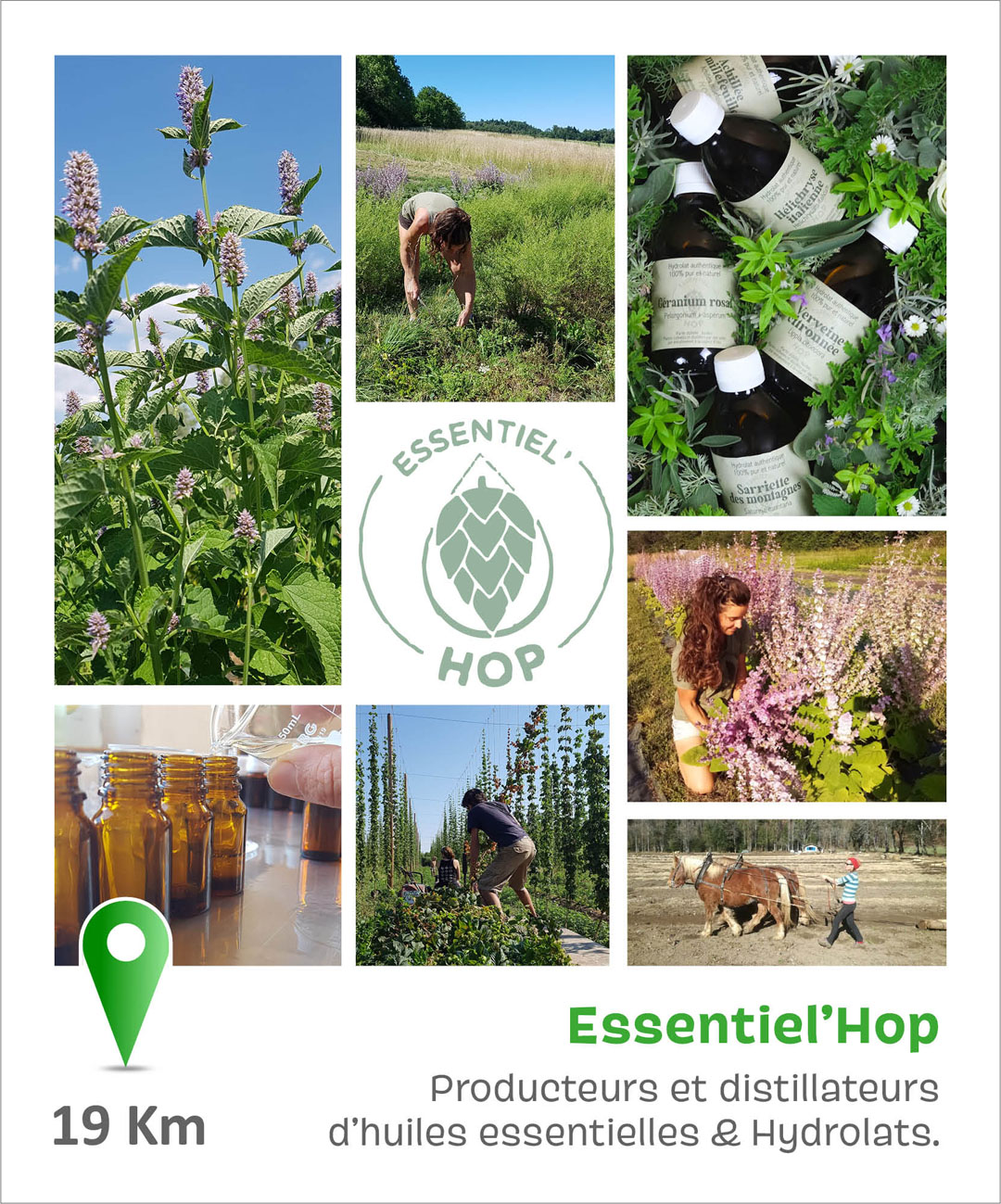 Essentiel'Hop