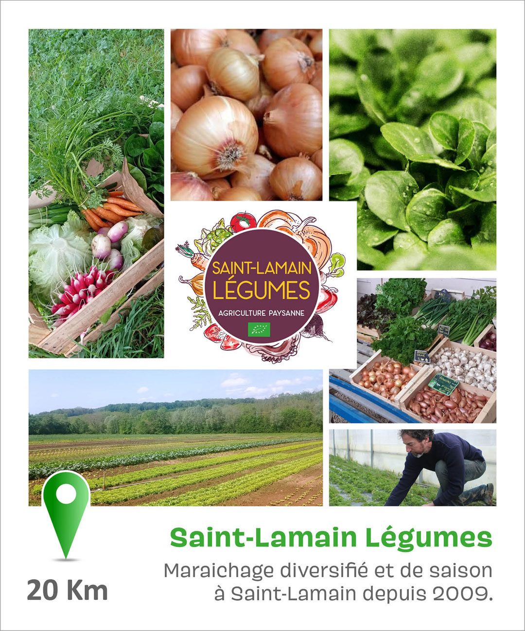 Saint-Lamain Légumes
