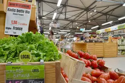 42-biocoop-lons-le-saunier-en-vie-bio-magasin-alimentation-salade-local-legume-saison.webp