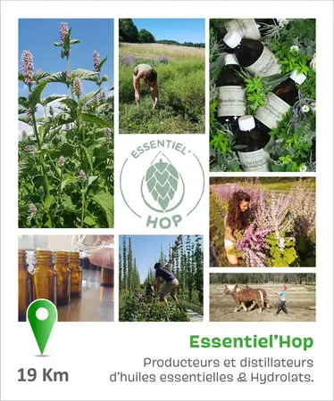 Essentiel'Hop